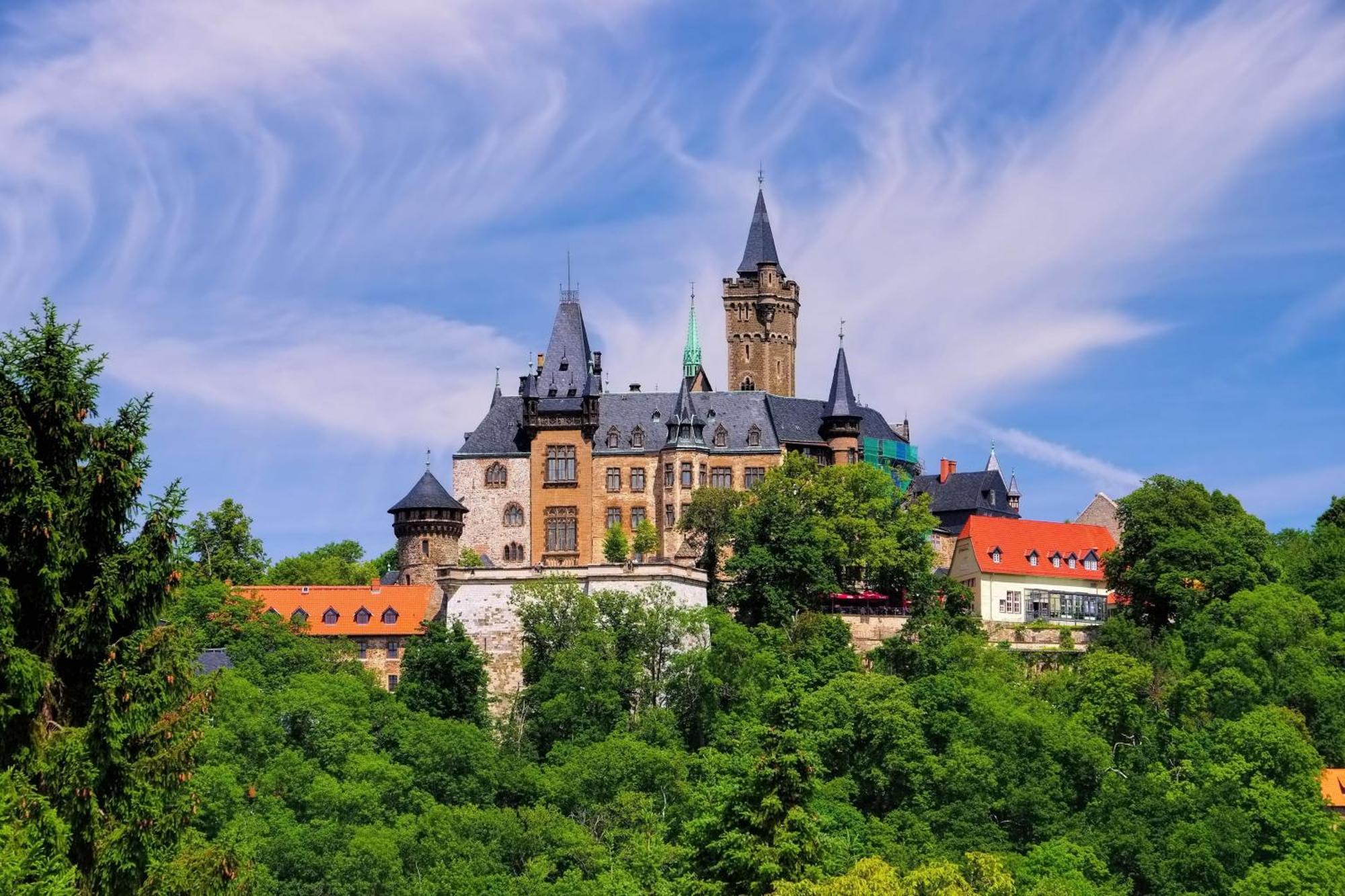 Fewo Rubezahl Mit Kamin Apartment Bad Harzburg Bagian luar foto